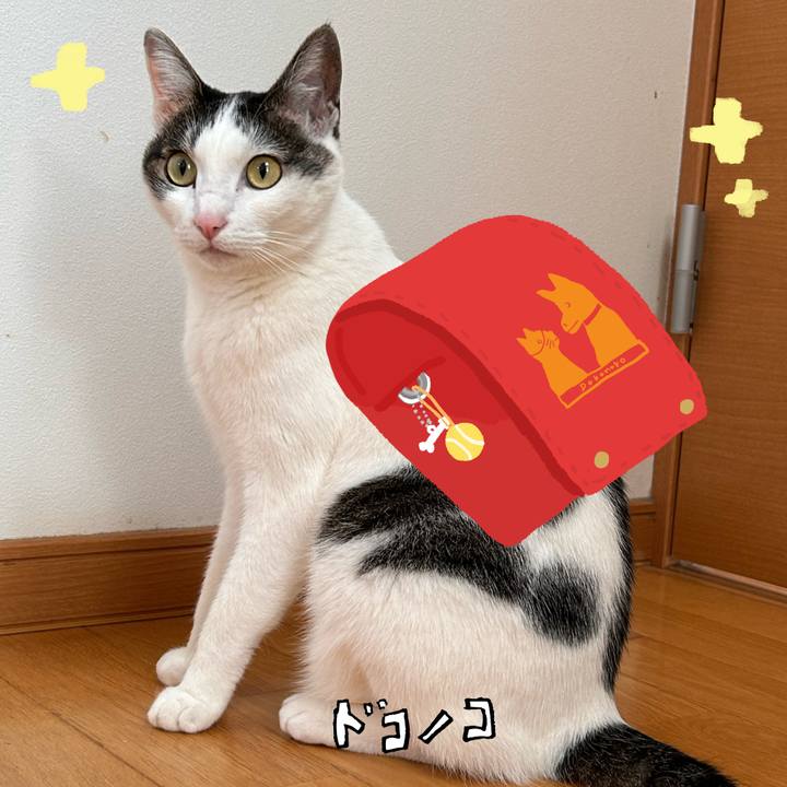 69319c60 53b1 456d b8c5 ac7d19ae2875 1744808501111