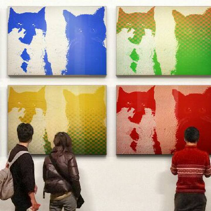 6931a6b3 533e 4b7d 8cd4 2786709b1b19 1515313323006