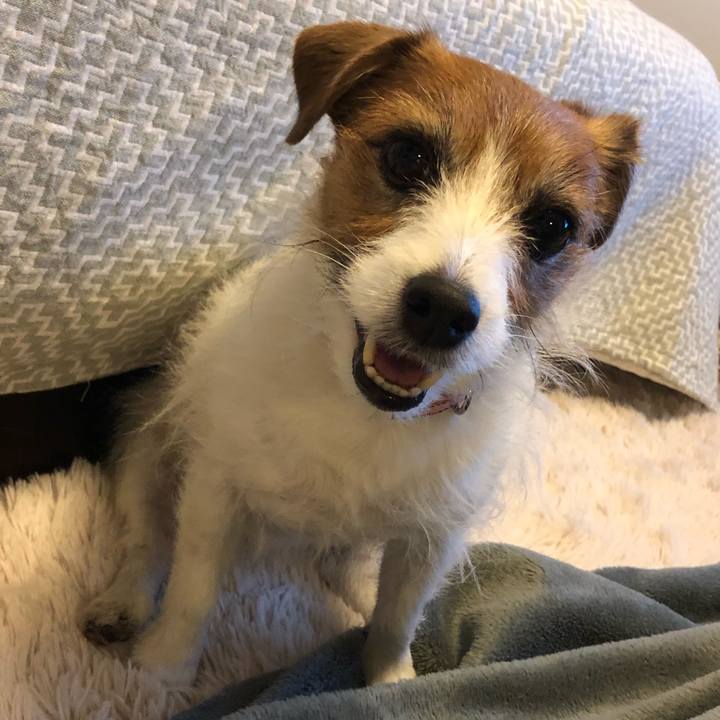 6931ffd7 99c3 4f11 815f 7f305998ee88 1612609696677