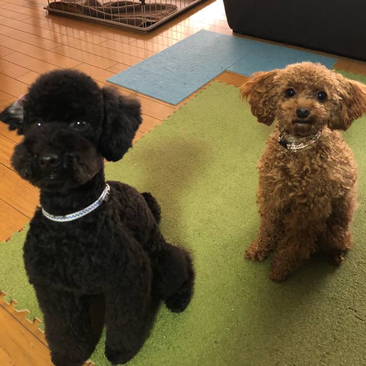 693211db 1084 4288 a3cb 4b5d4c6a0d88 1515901674863