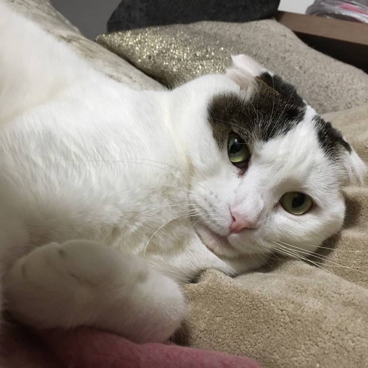 69325ed5 c5ea 4a70 bfff 659f7aa70cb8 1511698959730