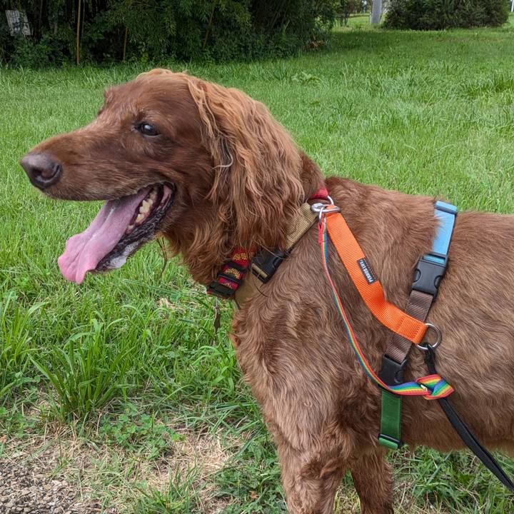 693298aa ff8c 4898 b3f9 0b6e08be3fd0 1757205086655