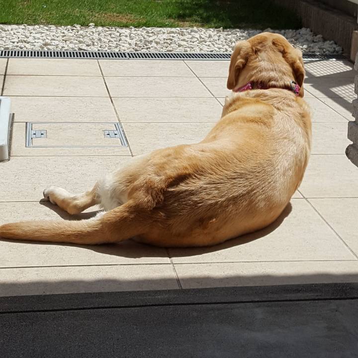 6932a7da 7388 45d3 ab8e 56fbd48a7e57 1526271941553