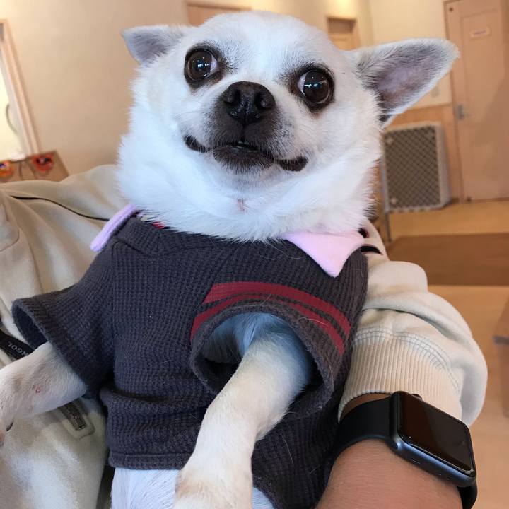 6932b2d2 7b2a 448e 976b 38ffe7b9c036 1603801175286