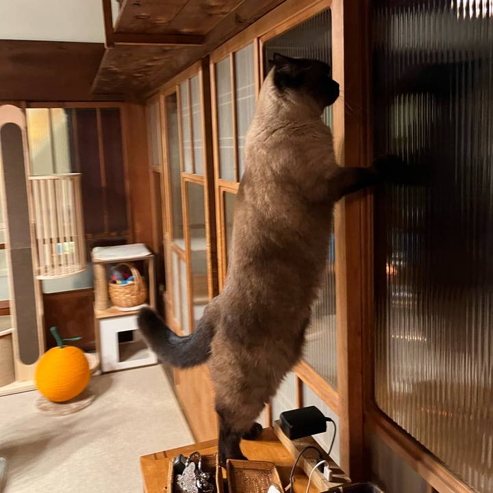 6932d64a 8d89 4ea4 8504 1e717d688b24 1707132348805