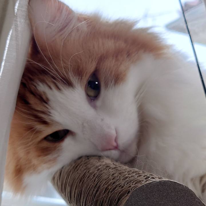 69330ff0 4b5a 404b b14b 9f19e83fa070 1644721665893