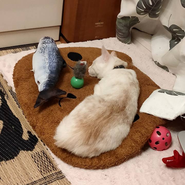 69332561 85a5 4eed a777 78f4609d2920 1629372539830