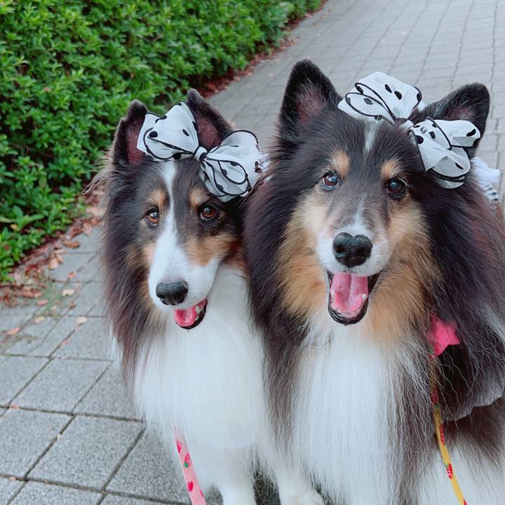 69332de4 374a 49a4 a998 457d0424ff67 1692988555543