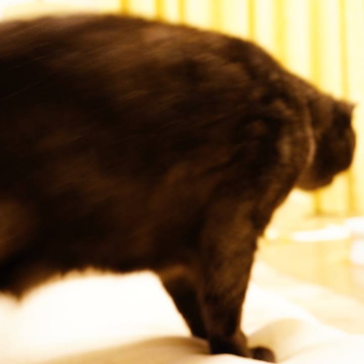 6933590c f442 4c7f b0dd 5a9510513fa8 1632929372179