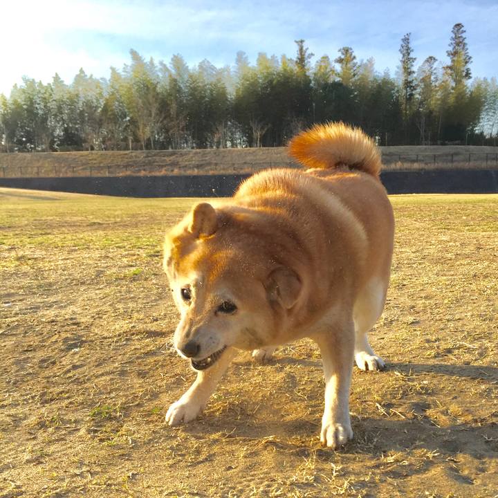 693363b5 3966 41b0 a58b bdd49b8a0197 1614049354495