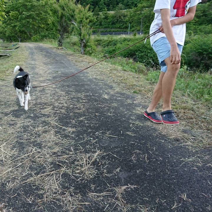 69336c1c a190 4d5b 8c18 d0672feec7a7 1591525568626