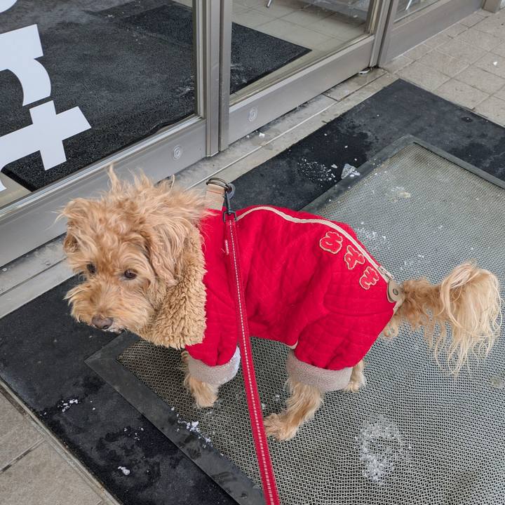 693385eb 67a1 488a afe2 d42e19d92dfc 1734332556391