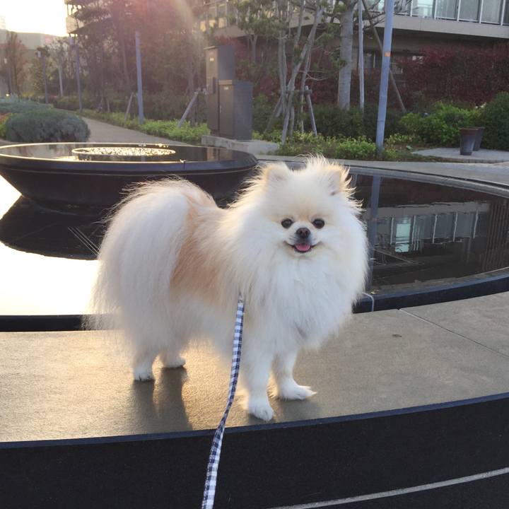 69338a78 e7fc 47ce b6da 447201639197 1524270533516