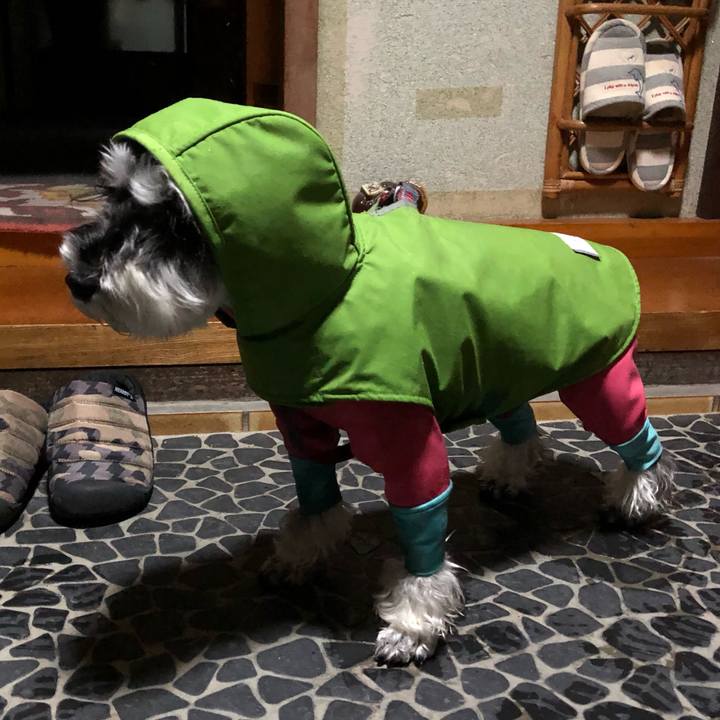 6933f184 3405 45d1 a6e8 622ef0bda816 1671117779221