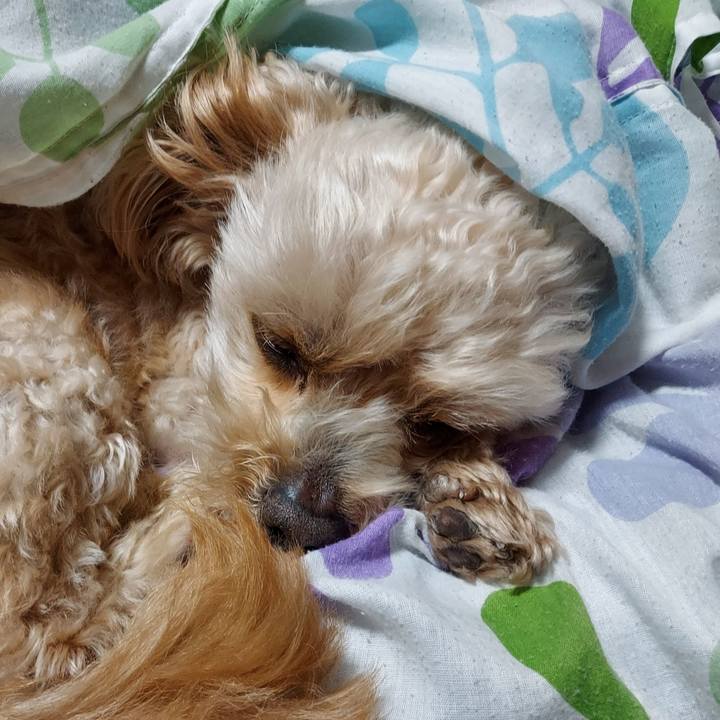 6933f62c e6e2 4ef9 bed2 2eb94bb12a89 1655113591036