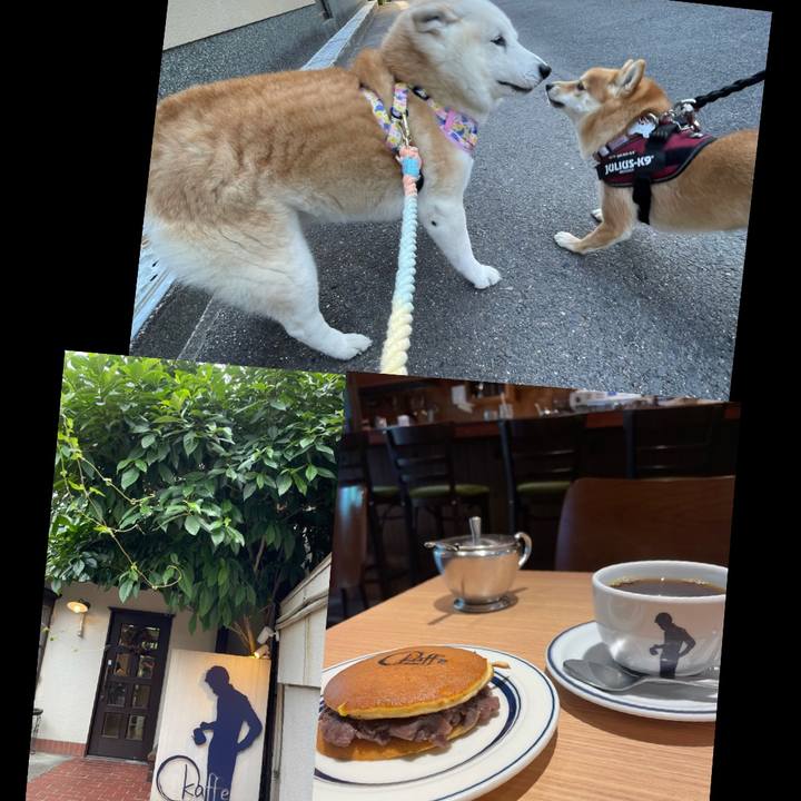 6934083d cd1c 474a b6cb 3d8e310d61a7 1654864275565