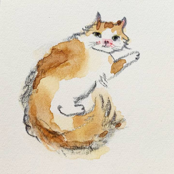 69342902 f9d5 4c56 bb01 b52397945a76 1630536050379