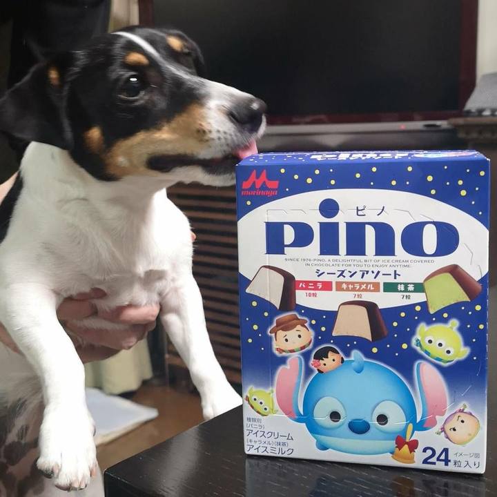 69343176 2e72 4d28 914a bdd3e2a9f711 1544264506472