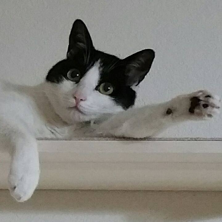 693471b9 200d 4cfd 8dfd 5972a74a234b 1528845479450