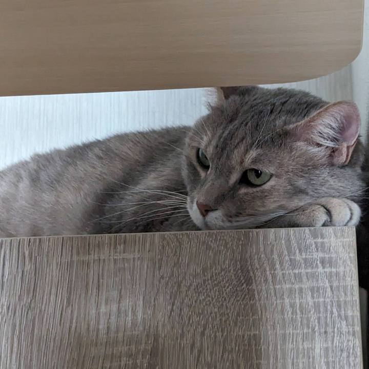 6934849a 7072 4a7d b8d0 74a264b0d8db 1718080992603