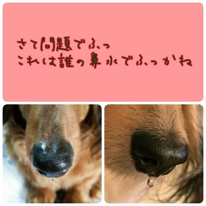 69348ec6 07a5 4d56 b86e 66580e55ce7e 1532950965149