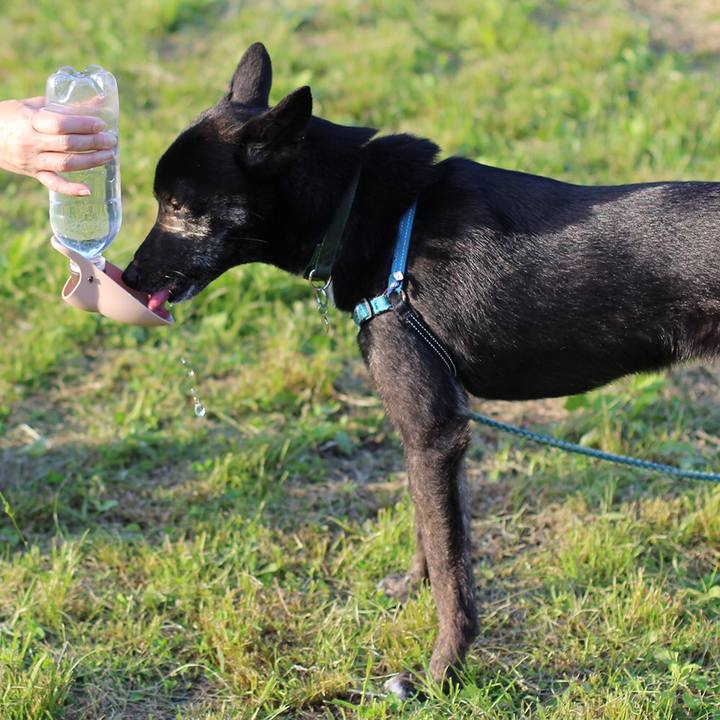 6934aaff 77e1 494e 9584 bc64d6228f09 1530057521562