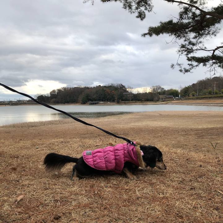 6934c4da e26b 4264 8799 52b12e3d4049 1609674849546