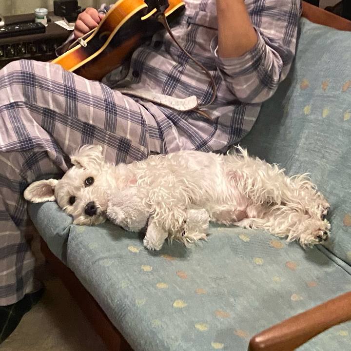 6934e017 8032 4bee b85f 58a1f49ea10e 1766411282770