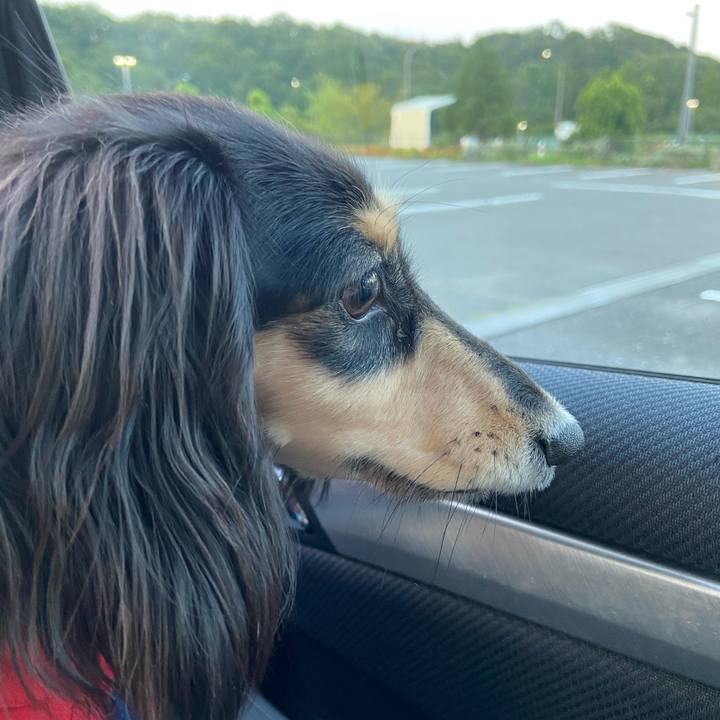 6934f4bd ab56 413e 9c52 9f483b415c0f 1725575583533