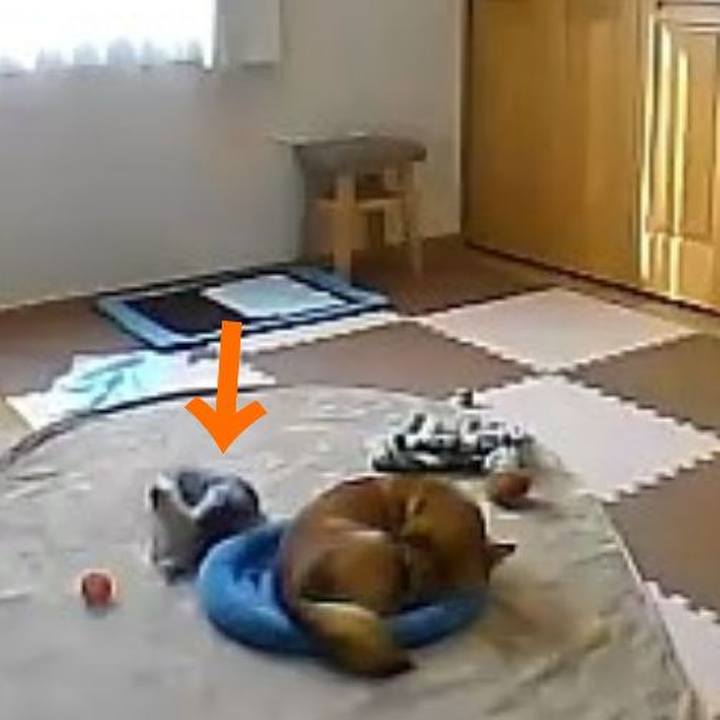 69352c58 b683 47bb b8b4 134a6ea4c533 1545714378569