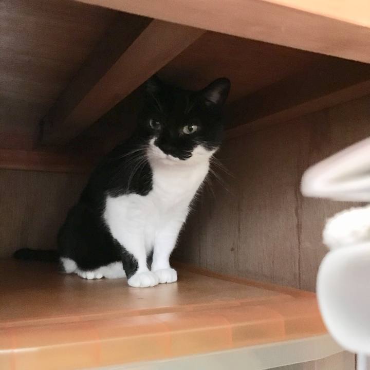 6935abeb cb45 4012 a161 65fd88e99335 1572403620998