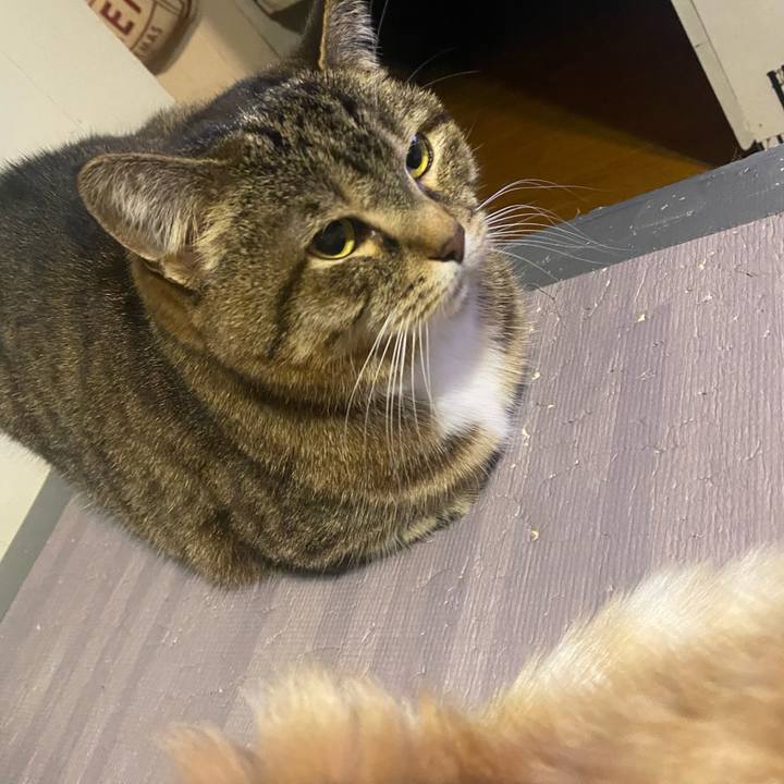 6935ba91 46ce 41a0 96cd 277ba56c3c19 1680538529547