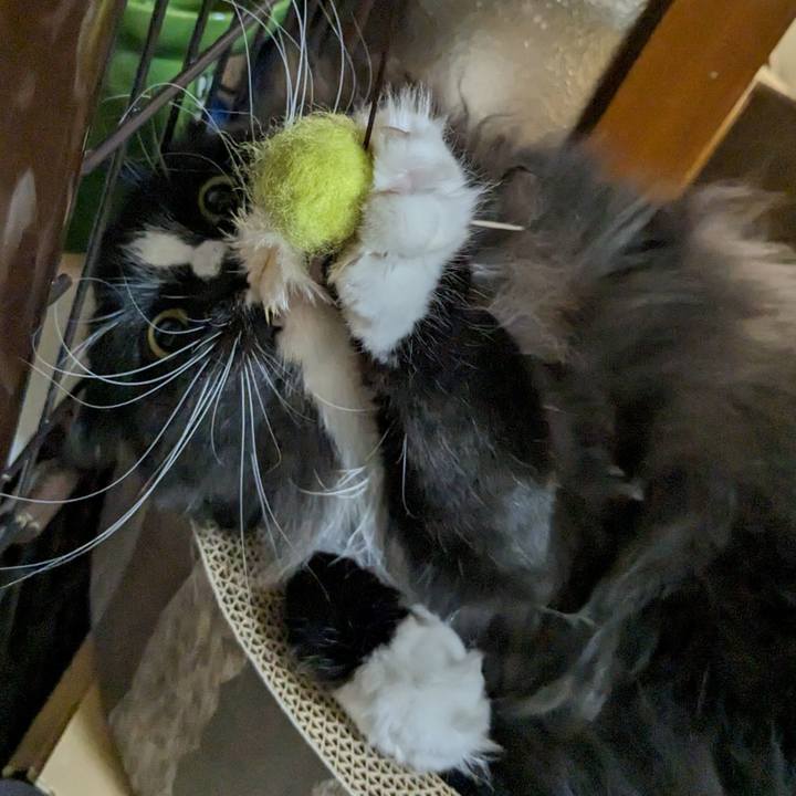 6935d7ec ed43 476b 8027 9e061ebd09a1 1700265488587