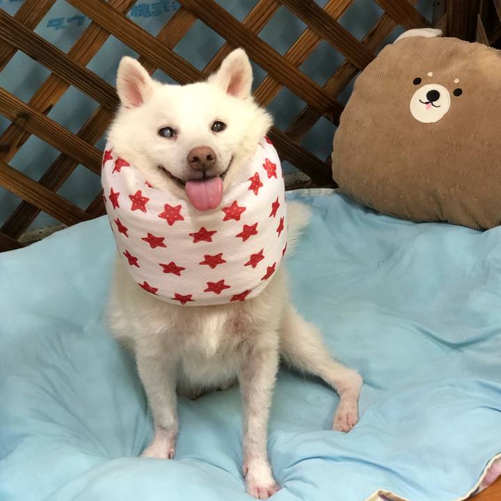 6935fe7f 7f82 4a0f 81c3 da8d22388eef 1625061141771