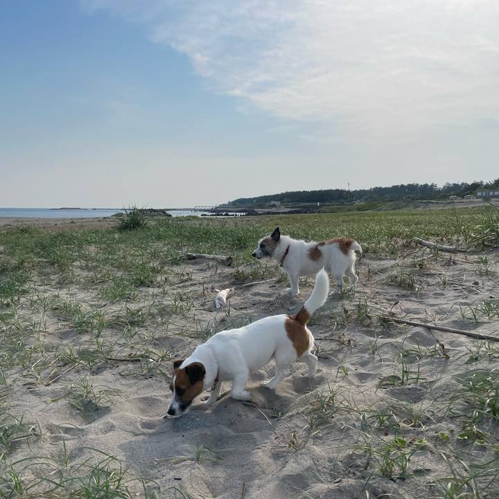 69360469 138d 4a6f bce2 fe7d97ce2dcc 1718237606847