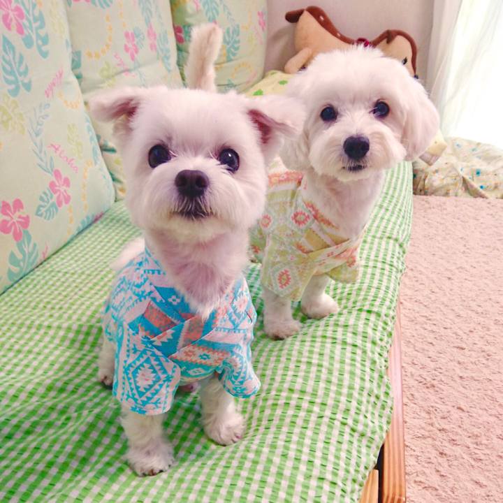 69361945 9bf2 4af1 bf88 a76e90552f74 1531959752846