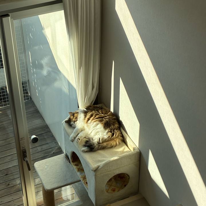 69362452 95b8 441b 8615 0e4e03cf9078 1769234044267