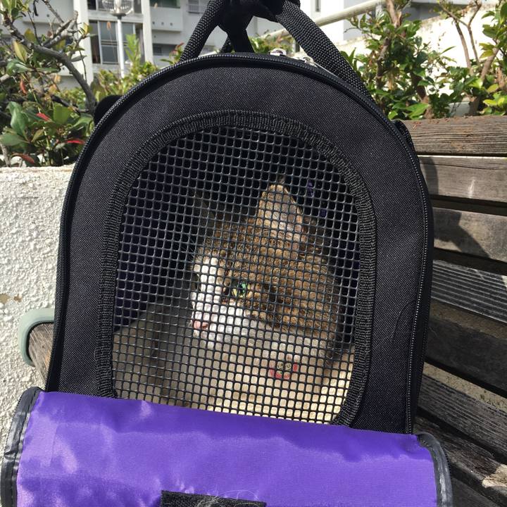 69368097 ef2e 4487 8721 7eec99c2dd08 1509509344198