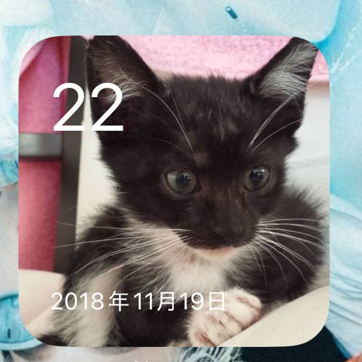 6936aa21 ff18 4c93 bfa7 53bde0891fc6 1763766156933