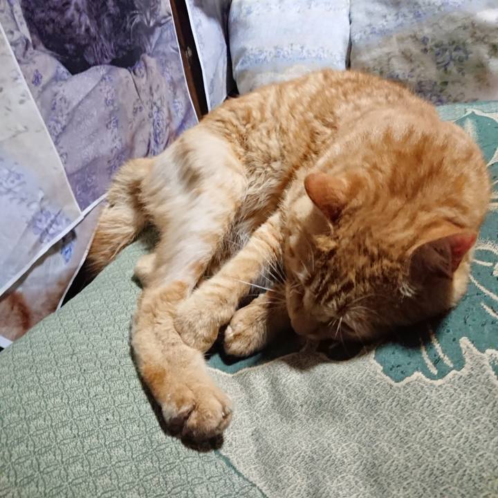 6936bca3 9eca 4b9a a883 9fe1ecfe2784 1658493322261