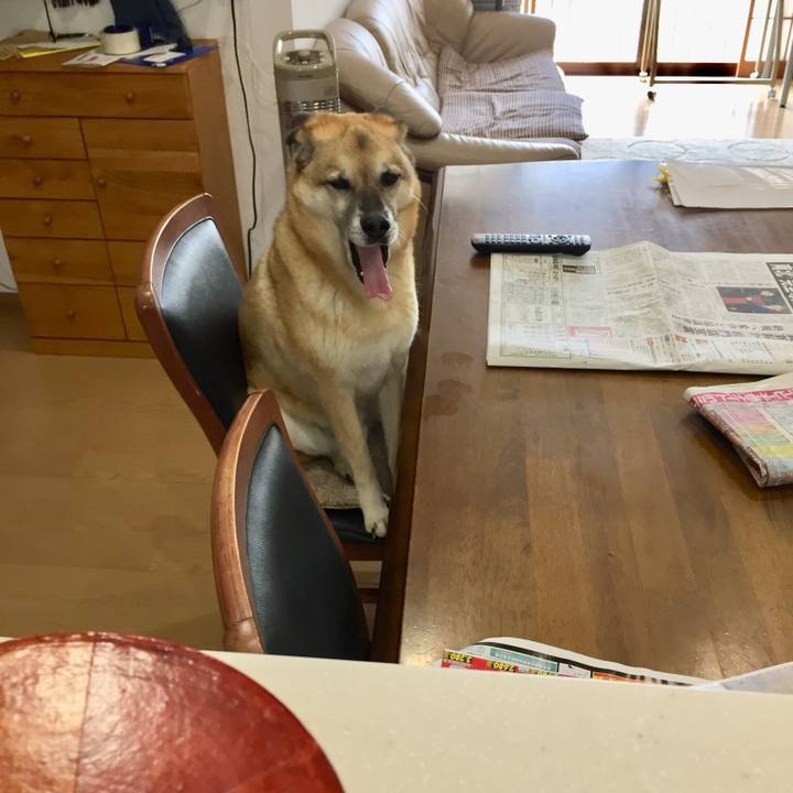 6936bce7 2684 4951 a950 19dcbdd9a4c0 1524876950220