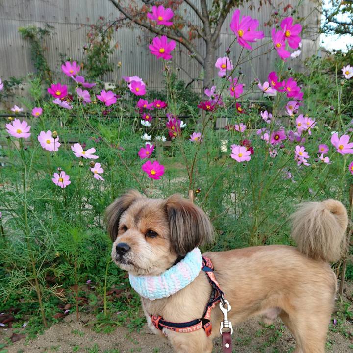 6936d0f8 6442 4cd0 b6d3 09d69b2dfd70 1541061875955