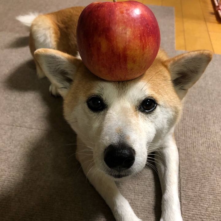 693730ee 37a2 4fbe 964f deb1960cc4c5 1574851175048