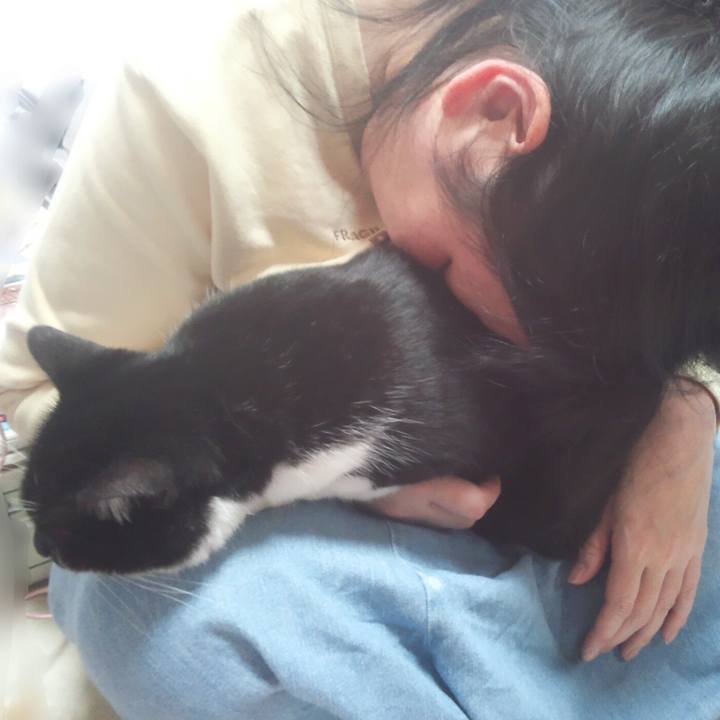 69376d61 b447 407a 8fa3 3867428f68a0 1542542253347