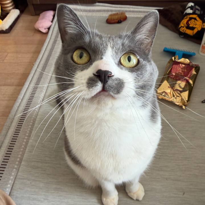 69378b82 b065 4679 aaa8 2b50328c2e99 1768103151151