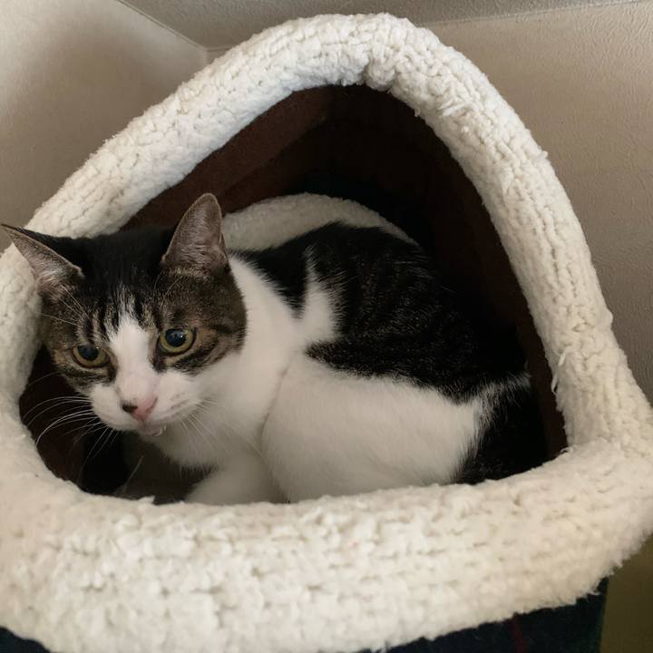 6937a2f9 16c9 42b3 a846 d0b371c7d6ed 1761998334241