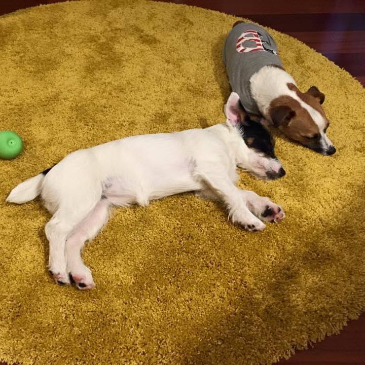 6937aff4 4a0b 4333 8264 70dcdc81894e 1652233545852