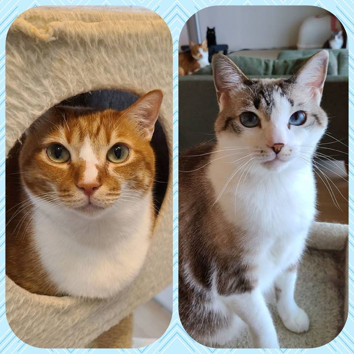 6937b841 8677 473c 9fbd 42d1afa828de 1622425838089