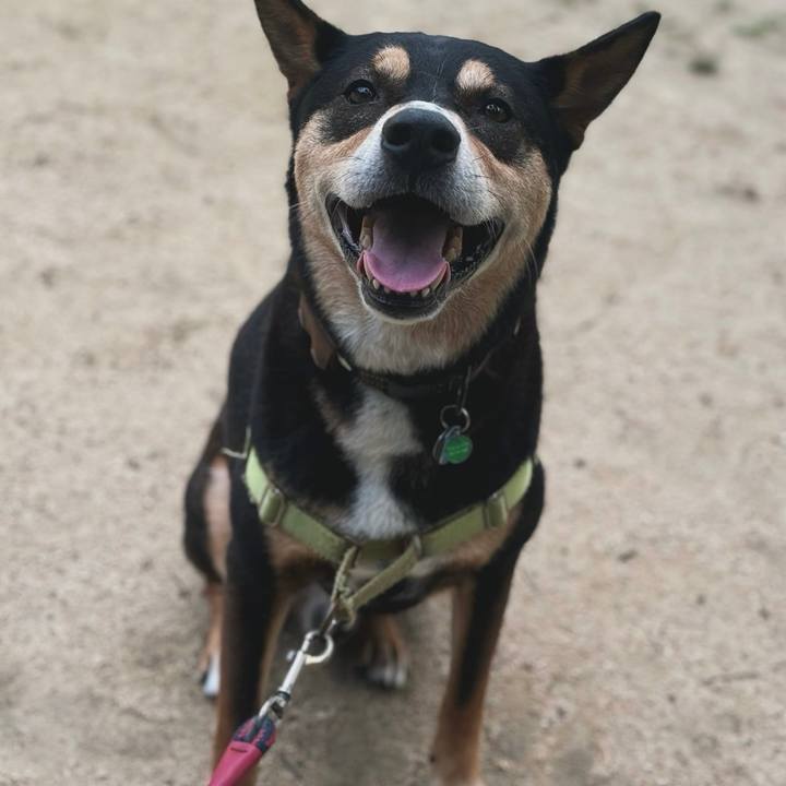 6937c7b7 b16b 499a bcfb d18e66714dd5 1721025446378