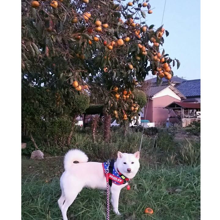 6937e5e4 5674 4a3e 9f98 698496dbaf6a 1571216985571